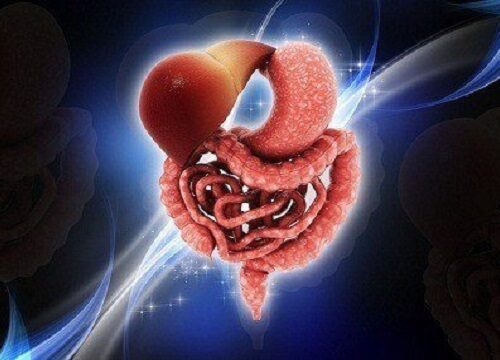 Digestive Health and Aging